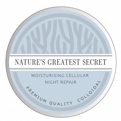 Moisturising Cellular Antiaging Night Repair Cream with Premium Quality Colloidal Silver 50g