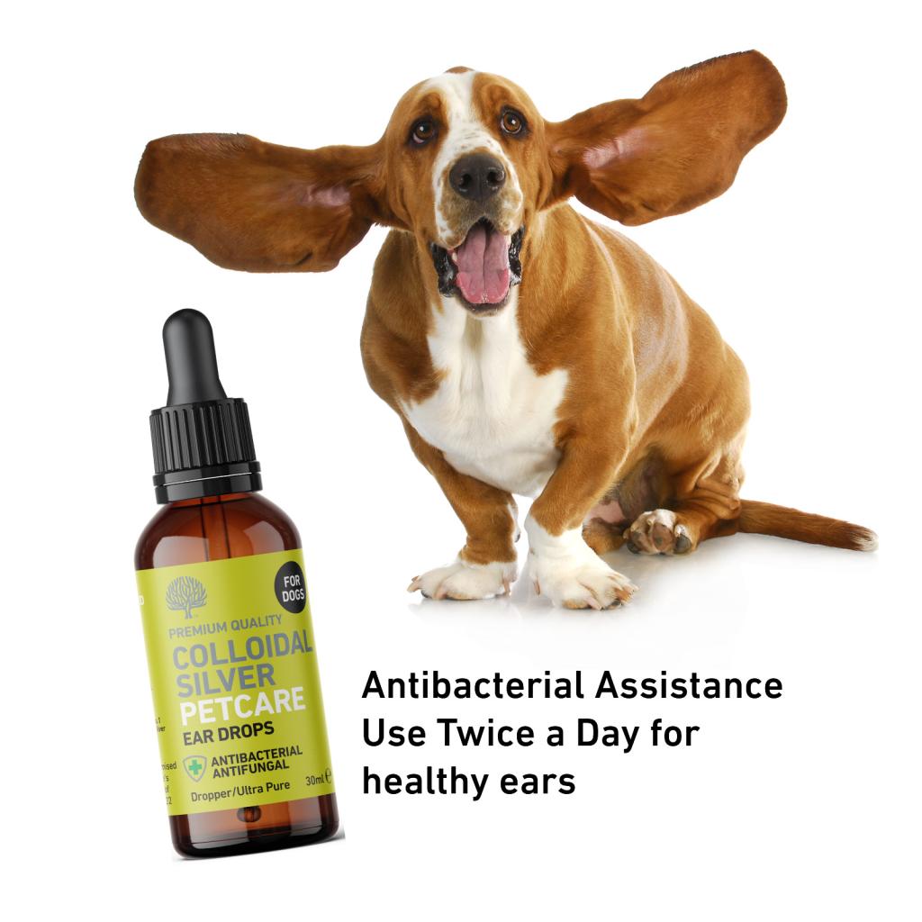 can you use colloidal silver on dogs ears